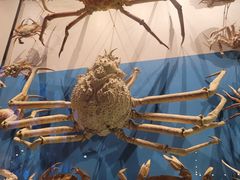 -贝林大翅鲸简餐厅(国家海洋博物馆店)