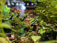 -森味薪火烧•烧鸟居酒屋•日本料理(望京店)