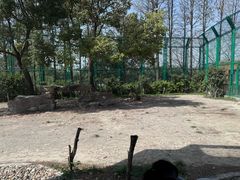 -上海野生动物园老虎餐厅