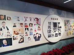 -宋庆龄陵园