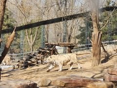 -北京野生动物园