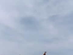 -鹅湖玫瑰文化园