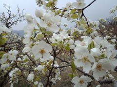 -金台阶鱼馆(于桥水库店)