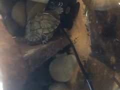 -湘芙蓉·湖南菜(椒江店)