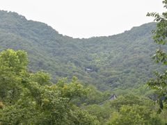 -韬光茶庵