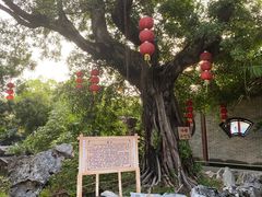 -东江渔村·古典园林·30年粤菜老字号(太和店)