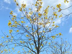 -露天矿生态公园