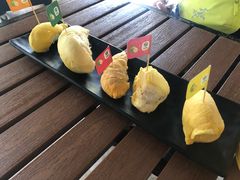 -榴莲BB 四季果园