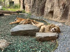 -北京野生动物园