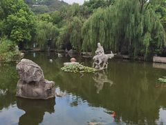 -宜兴张公洞