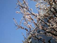 -上海海事大学(临港校区)