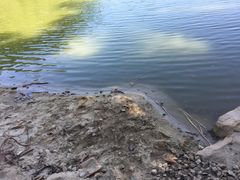 -佛山祈福仙湖酒店