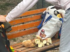 -青龙山国家森林公园