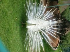 android_upload_pic-广东茂名森林公园