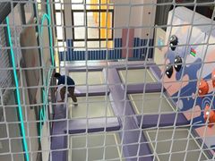 -宁波九龙湖开元度假村