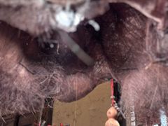 -泥糊破店小酒馆·团建聚餐(南京西路店)