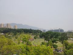 -牛岗山公园