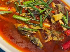 -晶泽丽琅·鱼鲜川菜(川师店)