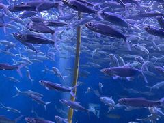 -成都浩海立方海洋公园