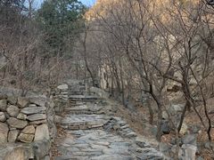 -北京鹫峰国家森林公园