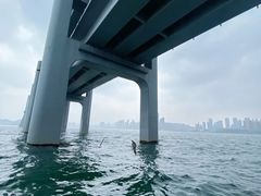 -星海湾跨海大桥