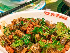 -九子跳跳蛙(石牌东店)