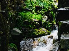 -MOJ coffee(瓯海泽雅水碓坑店)