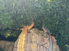 -石老人观光园