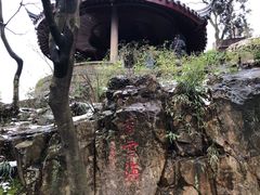 -香雪海