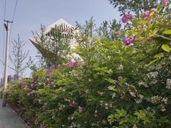 -张之洞与武汉博物馆