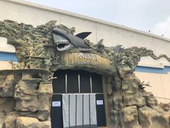 -秦皇岛乐岛海洋王国