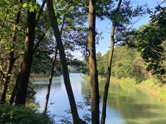 -红花湖景区