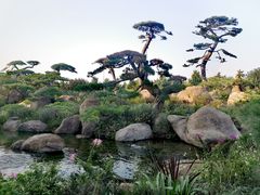 -罗红摄影艺术馆