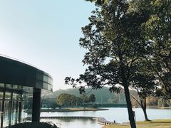 -上海佘山世茂艾美酒店