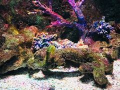 -暹罗海洋世界