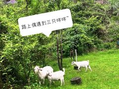 -雁荡山风景名胜区