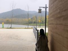 -千年银杏谷文化旅游区