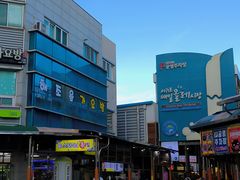 -西归浦每天偶来市场