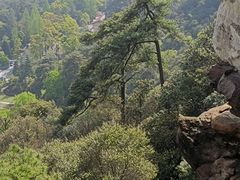 -缙云山景区