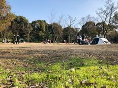 -吴淞炮台湾湿地森林公园烧烤区