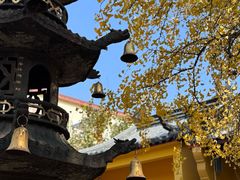 -南山风景名胜区