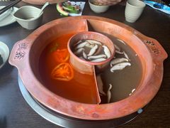 -滇釜火锅·能喝汤的火锅(车公庄店)