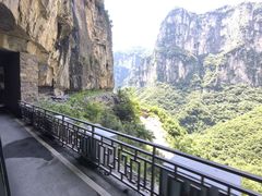 -王莽岭风景区