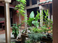 -蔡氏古民居建筑群