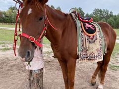 -北极村旅游风景区