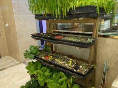 -金源山海一味(万科早城店)