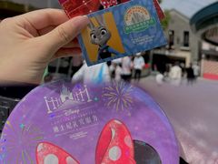 -上海迪士尼度假区