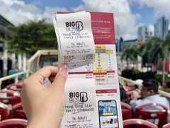 -Big Bus Tours 敞篷观光巴士