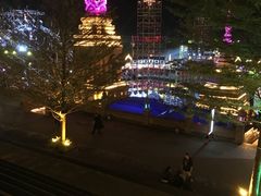-西双版纳原始森林公园