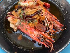 -TOMATITO(无限极荟店)